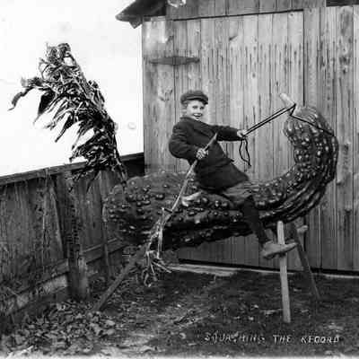 Squashing the Record, Photo by Alfred Stanley Johnson
