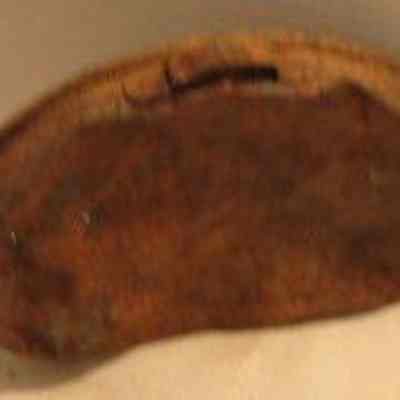 WW1 Dish-Oval