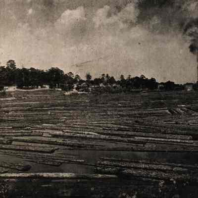 Postcard, Logs/Lumber, Stanley Johnson