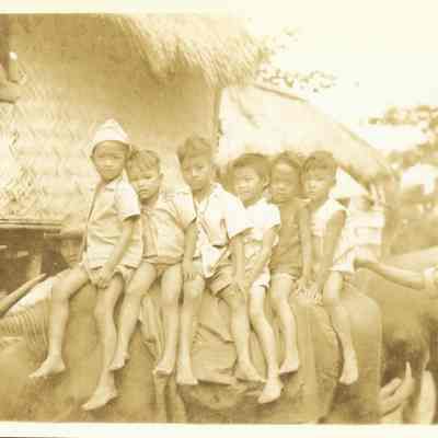 Children on water buffalo
