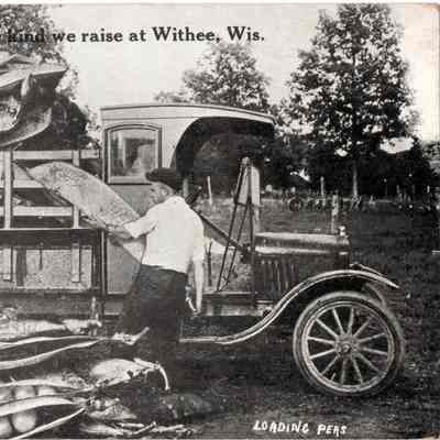 Postcard