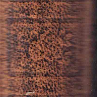 MCGUFFEY"S NEW FIFTH ECLECTIC READER: Origformat: Other