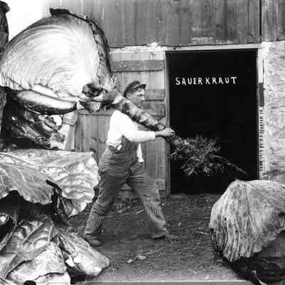 Sauerkraut, Photo by Alfred Stanley Johnson