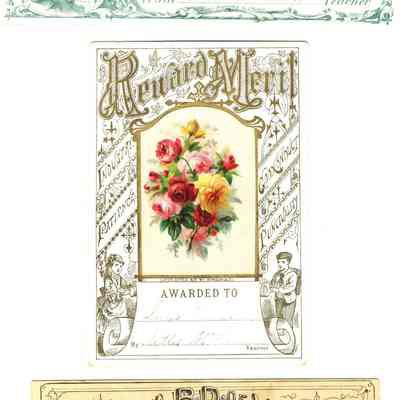 Types of Reward of Merit