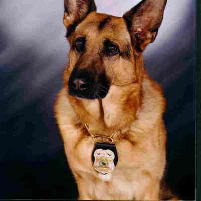 Member of the Waupun Police Force