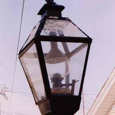 Photograph, Oliver Lamp