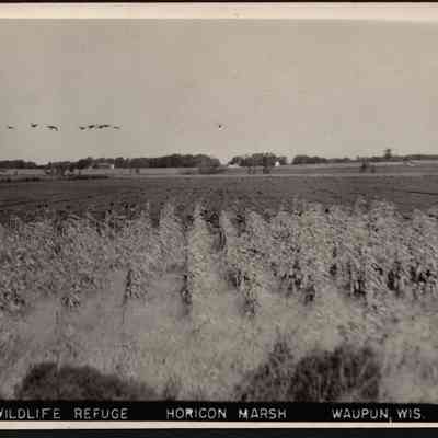 Postcard, Marsh, National Wildlife Refuge, #59-482