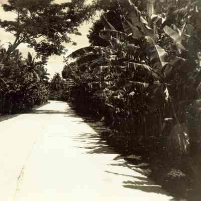 Route number 3, Philippine National Highway