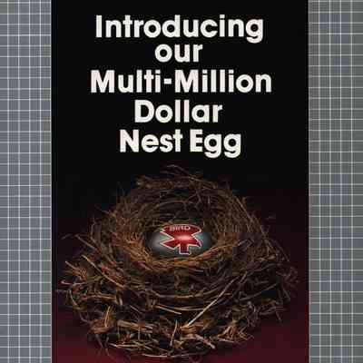 Brochure, Bird Trucking, Nest Egg