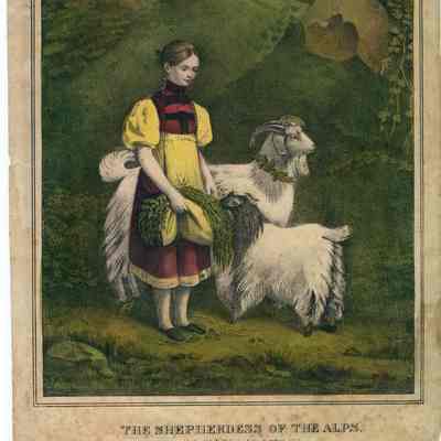 The Shepherdess of the Alps