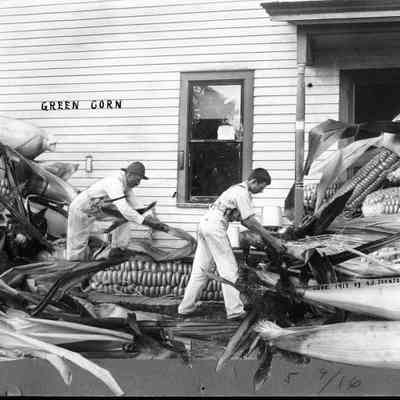 Green Corn, Photo by Alfred Stanley Johnson