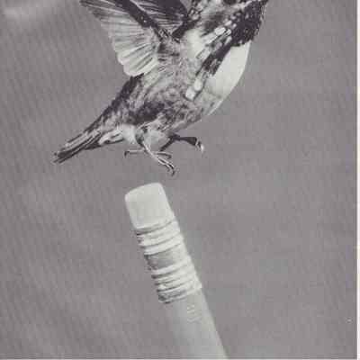 Waubun 1994 (Waupun H.S yearbook): Origformat: Other