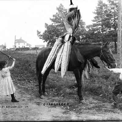 Overloaded, Photo by Alfred Stanley Johnson