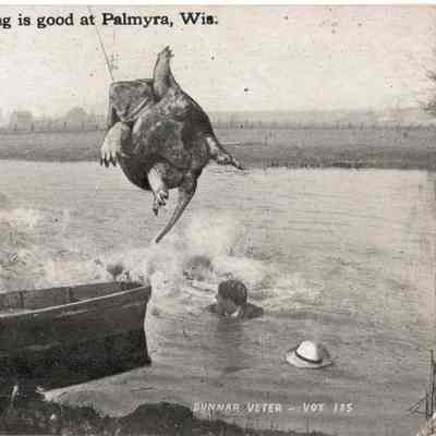 Postcard