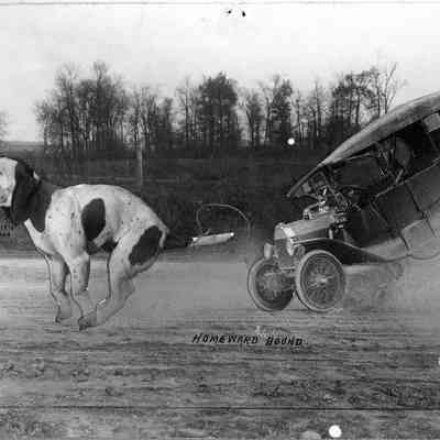 Homeward Bound, Photo by Alfred Stanley Johnson