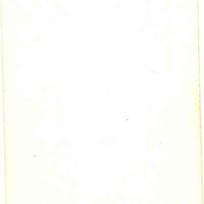 Back of photo of Gruenwald boys