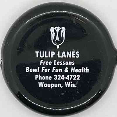 Coin Purse, Tulip Lanes