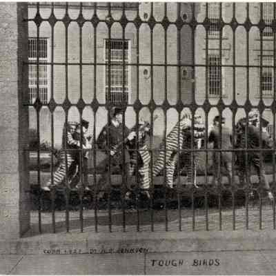 Postcard Stanley Johnson Prisoner Series Tough Birds