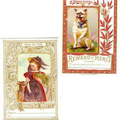 Reward of Merit cards