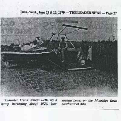 Newspaper Article, Hemp Harvesting by Frank Jetters
