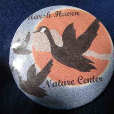 Button, Marsh Haven Nature Center