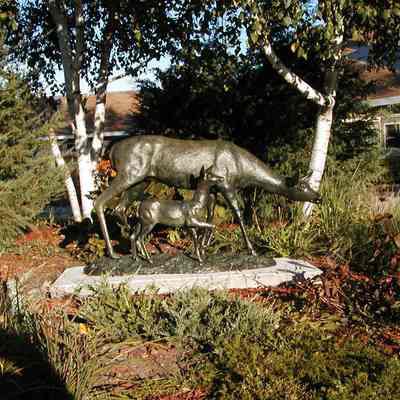 Doe and Fawn photos