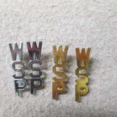 Silver /Lieutenant or Captain-Gold/Guard - Prison Guard pins