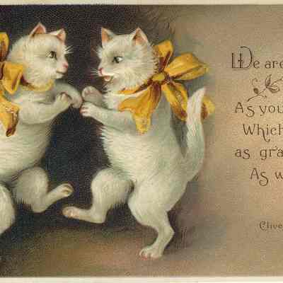 Postcard Collection: