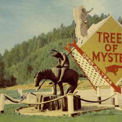Postcard, End of the Trail, Trees of Mystery