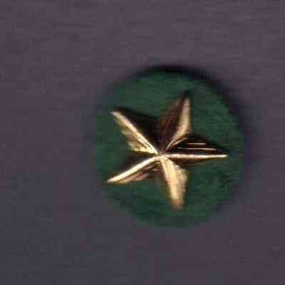 Boy Scouts, BSA, Service Star Pins
