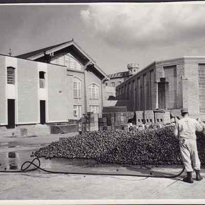 Photograph, Corrections, Wisconsin State Prison, Beets for Canning