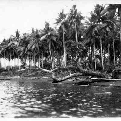 Photo of the 38th photo communication section.