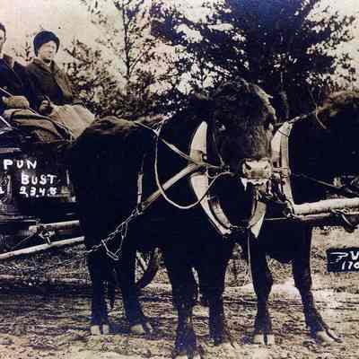 Postcard, Waupun or Bust, Homecoming
