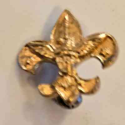 Boy Scouts, BSA, Pin