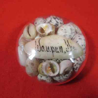 Paperweight, Souvenir, Sea Shells