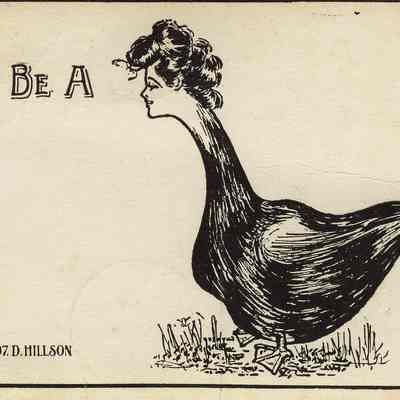 Postcard Collection: