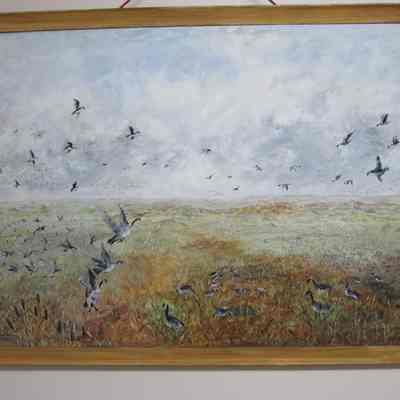 Horicon Marsh (1)