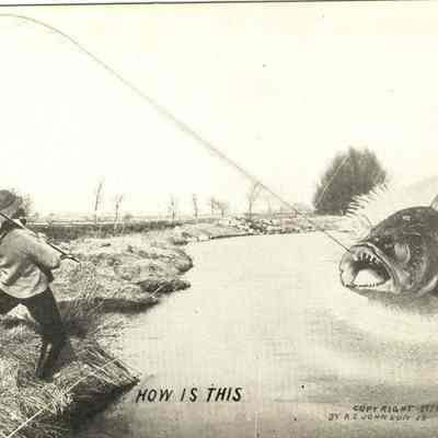 Postcard, A S Johnson, How Is This