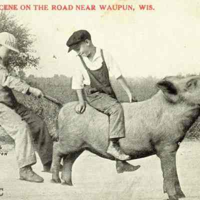 Johnson Postcard, comic "Scene on road near Waupun, Wis."