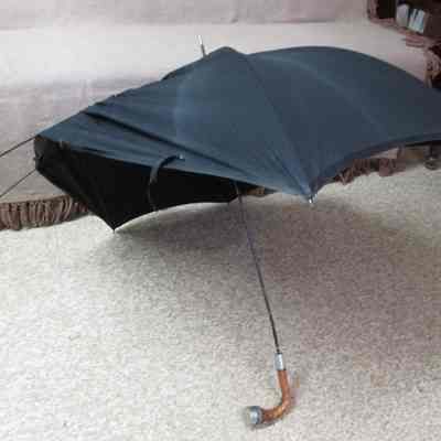 Umbrella, Shaler
