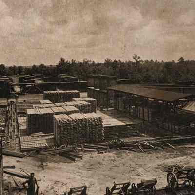 Postcard, Logs/Lumber Yard, Stanley Johnson