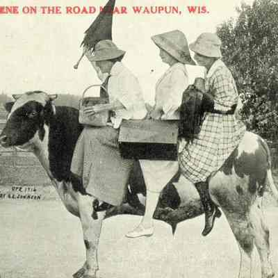 Johnson Postcard, comic "Scene on road near Waupun, Wis."