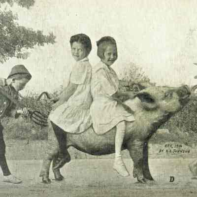 Johnson Postcard, comic "Scene on road near Waupun, Wis."