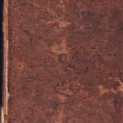 POLITICAL CLASS BOOK: Origformat: Other
