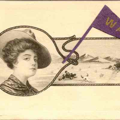 Postcard, Souvenir, Purple Pennant
