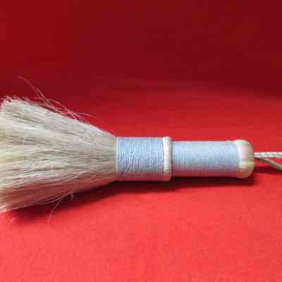 Wisk Broom