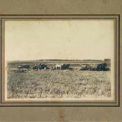 Portrait, Four Binders Cutting Grain