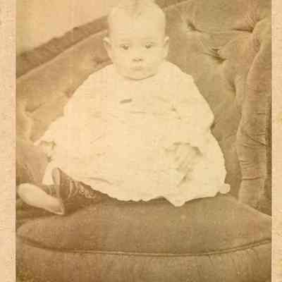 Cabinet Card, Johnson, Small, Unknown