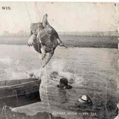 Postcard