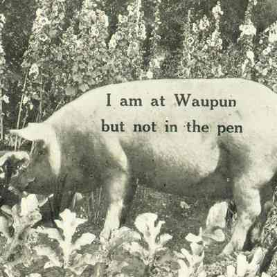 Johnson Postcard, comic "I am in Waupun, but not in the pen."